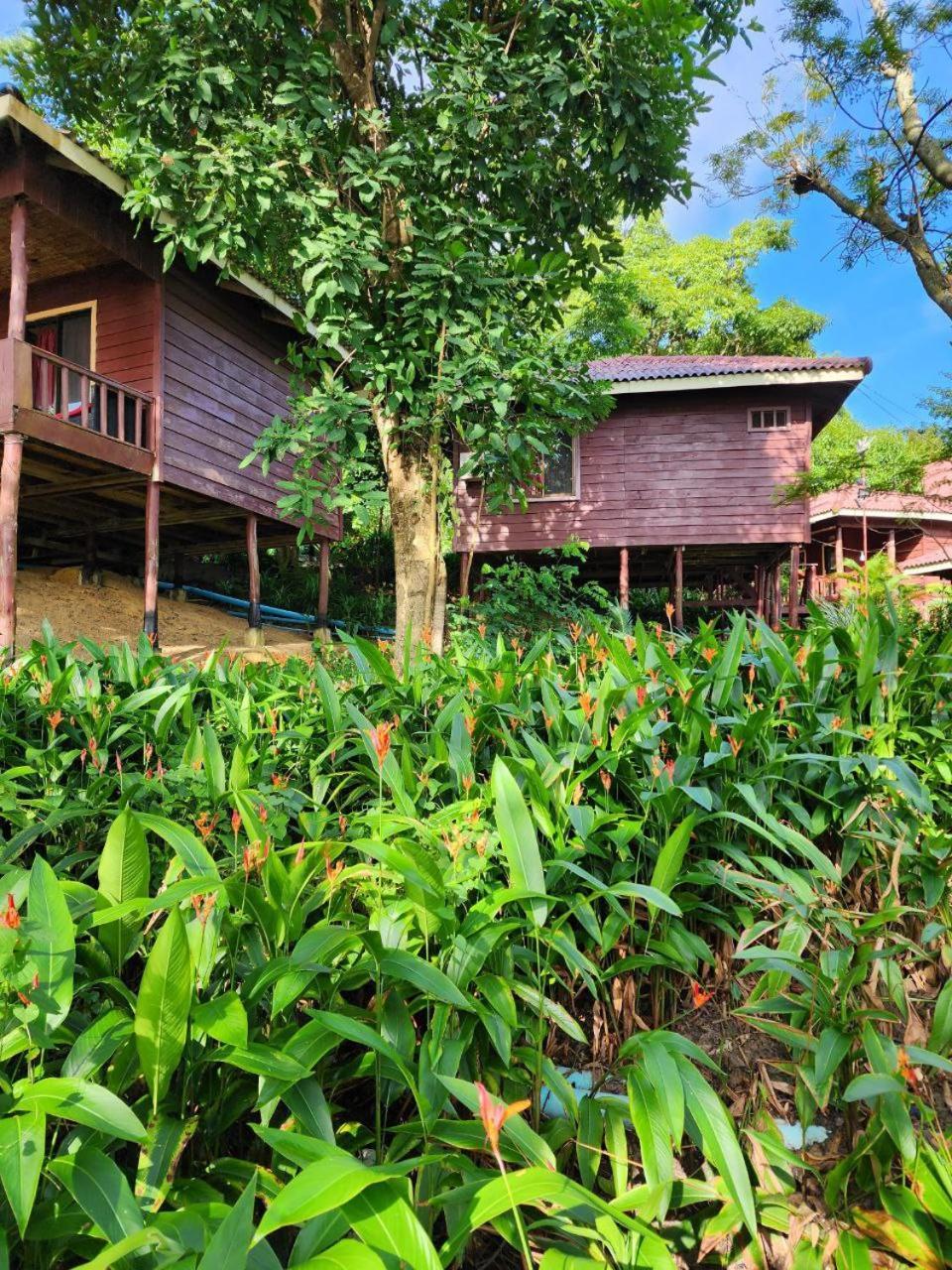 Sweet Jungle Bungalows Kaoh Touch Buitenkant foto