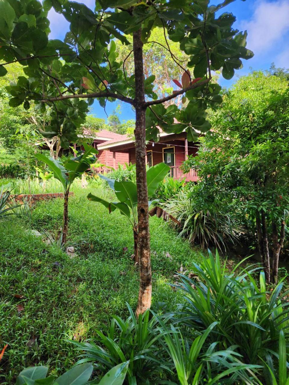 Sweet Jungle Bungalows Kaoh Touch Buitenkant foto